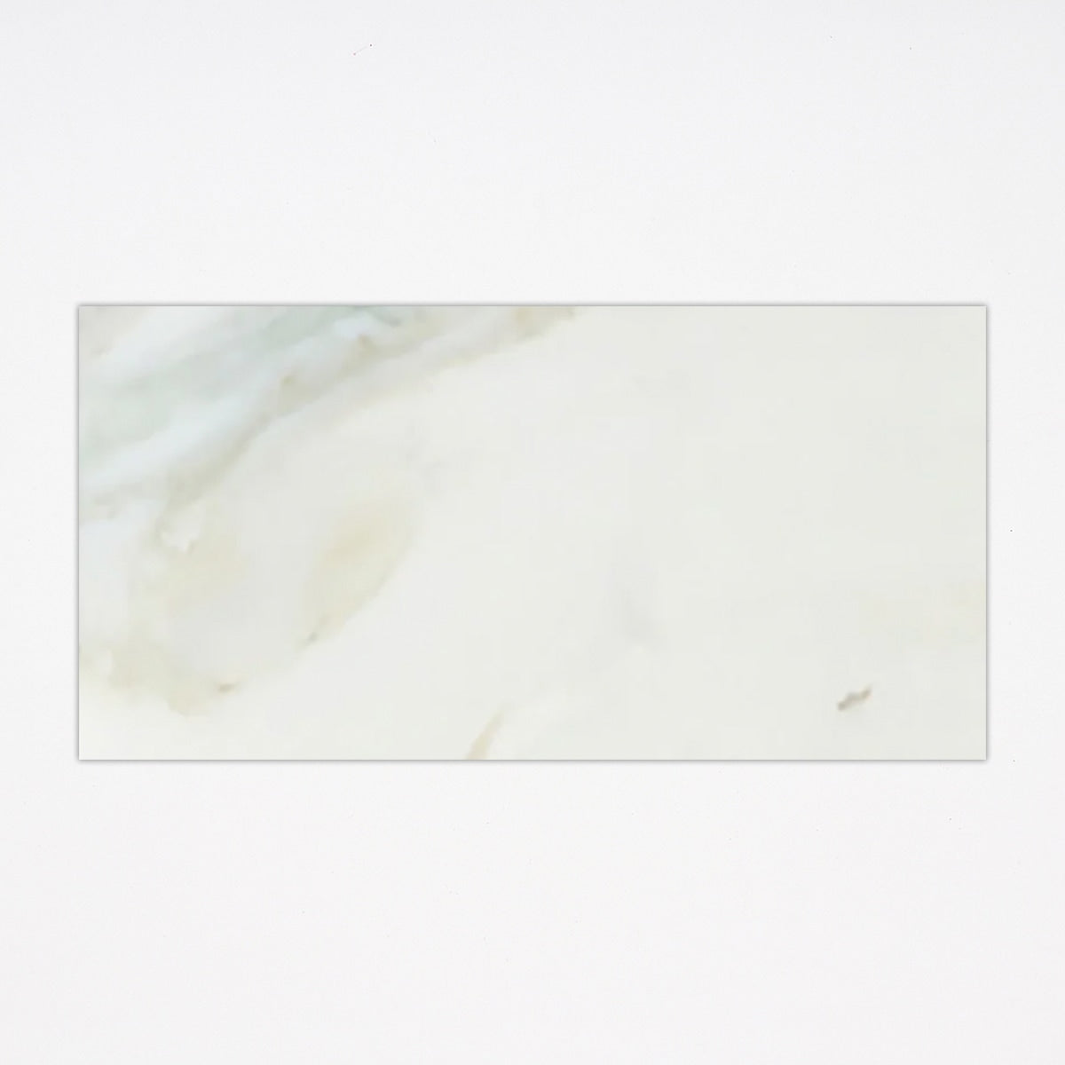 Calacatta Polished 6x12 Marble Tile