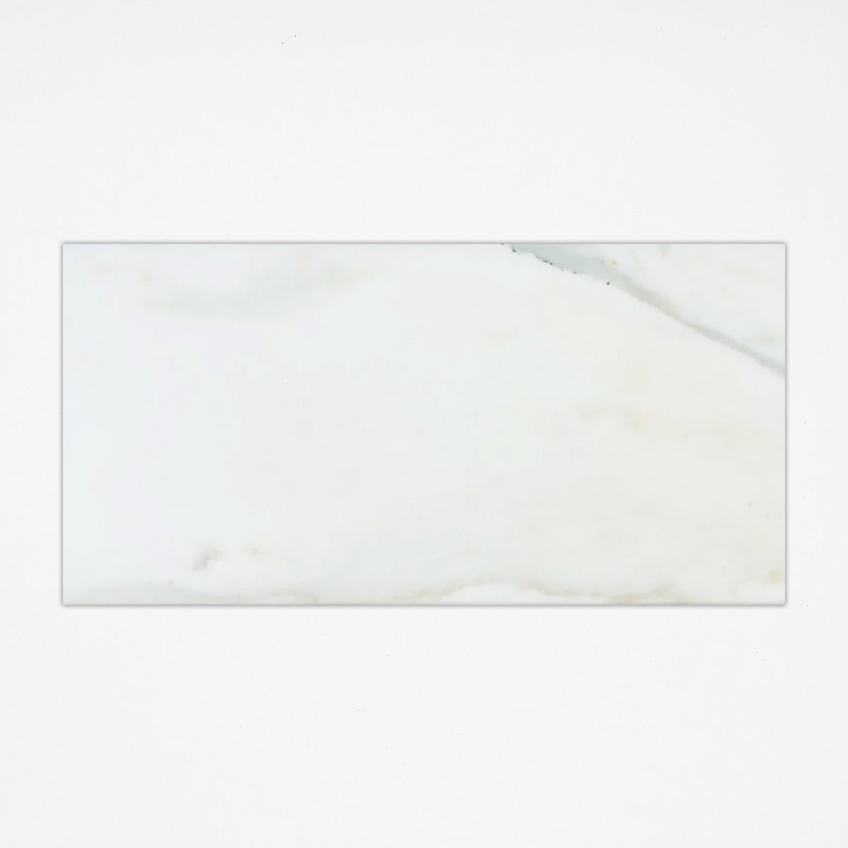 Calacatta Honed 12x24 Marble Tile