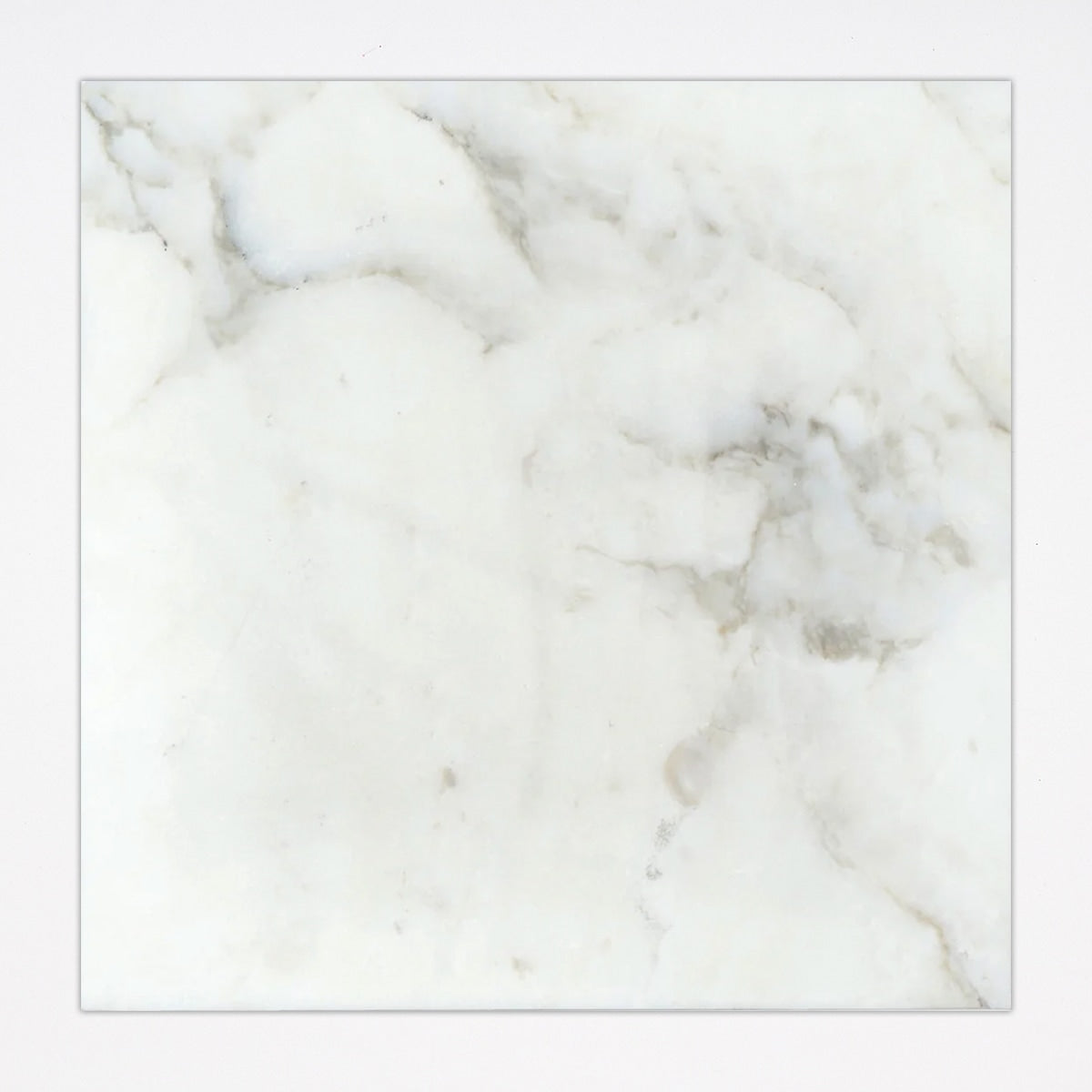 Calacatta Honed 18x18 Marble Tile
