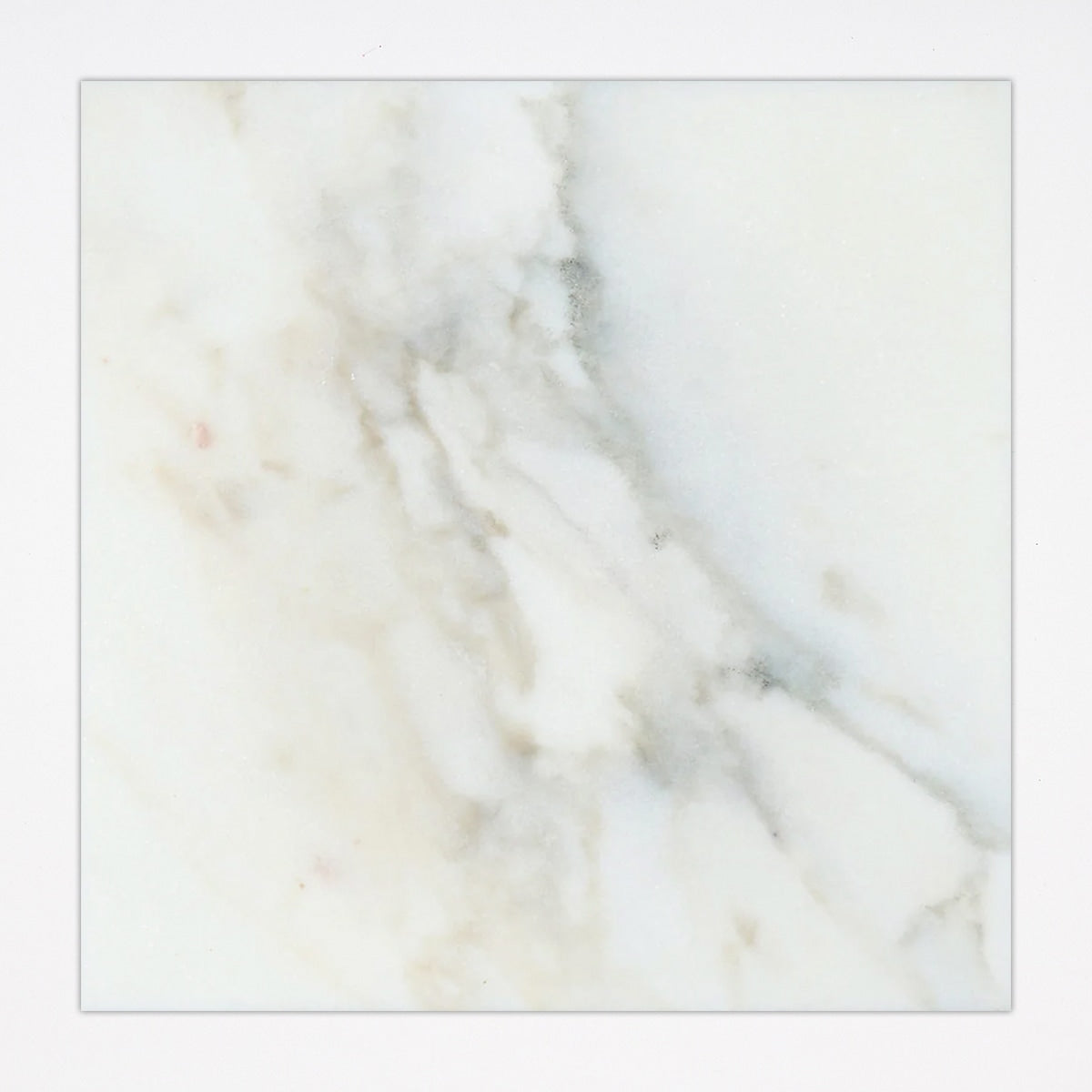 Calacatta Honed 24x24 Marble Tile