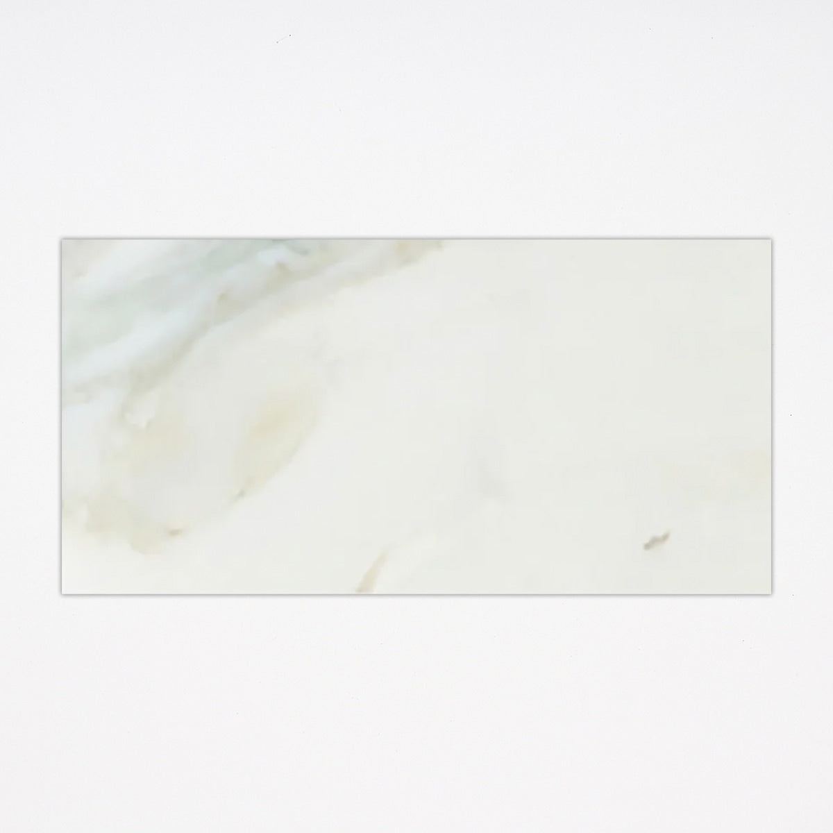 Calacatta Honed 3x6 Marble Tile