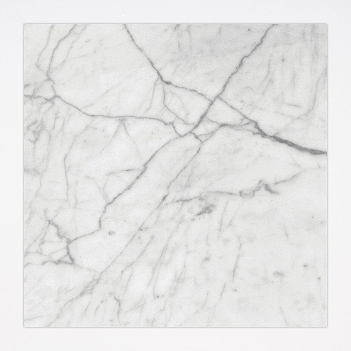 White Carrara Honed 24x24 Marble Tile