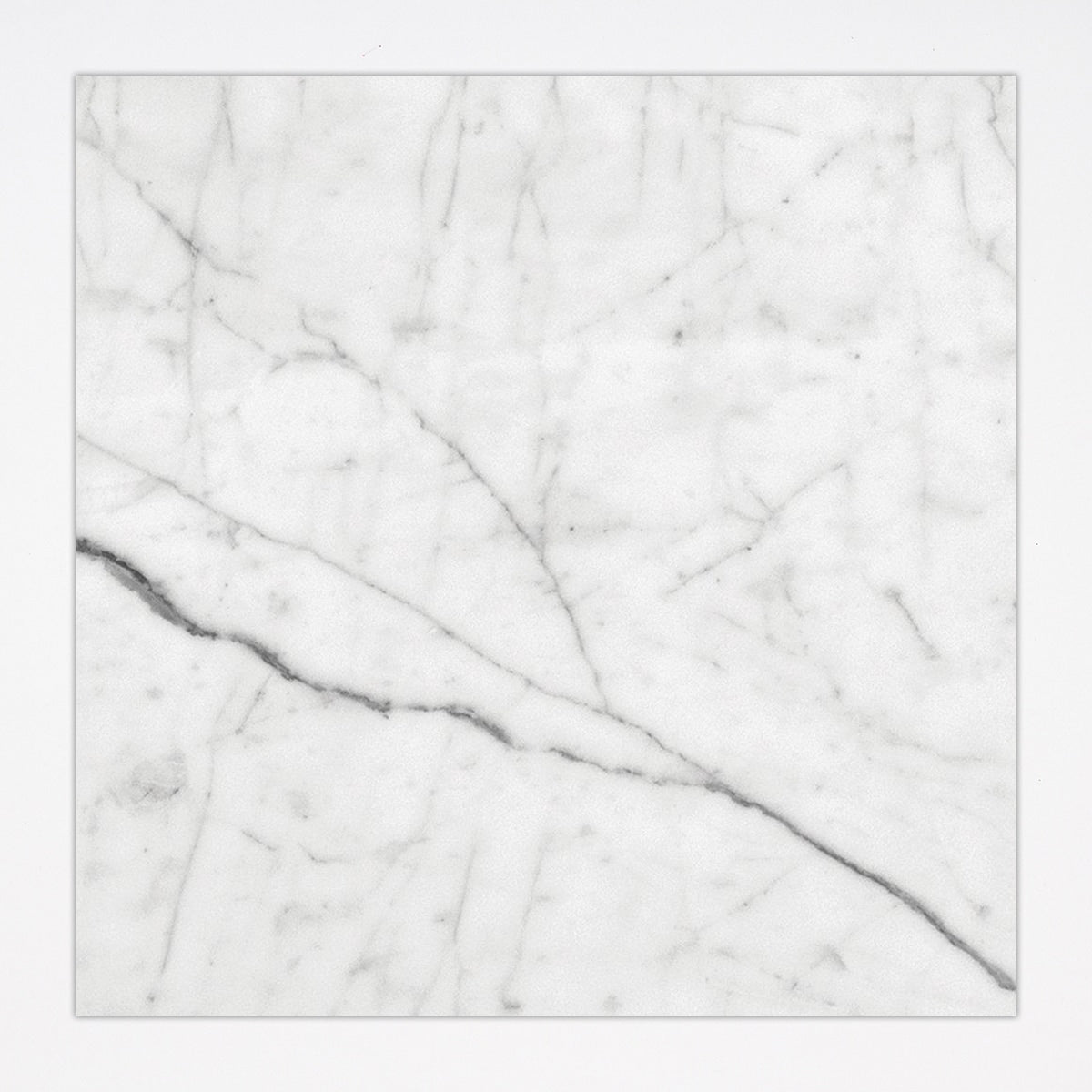 White Carrara Honed 12x12 Marble Tile