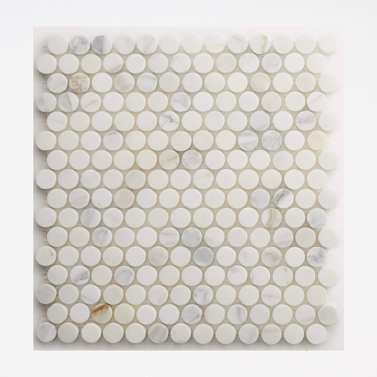 Calacatta Gold Honed Penny Round Marble Mosaic